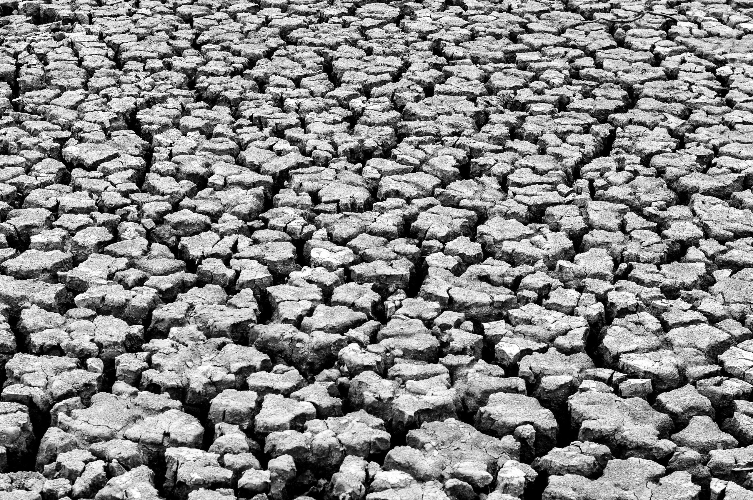 Drought