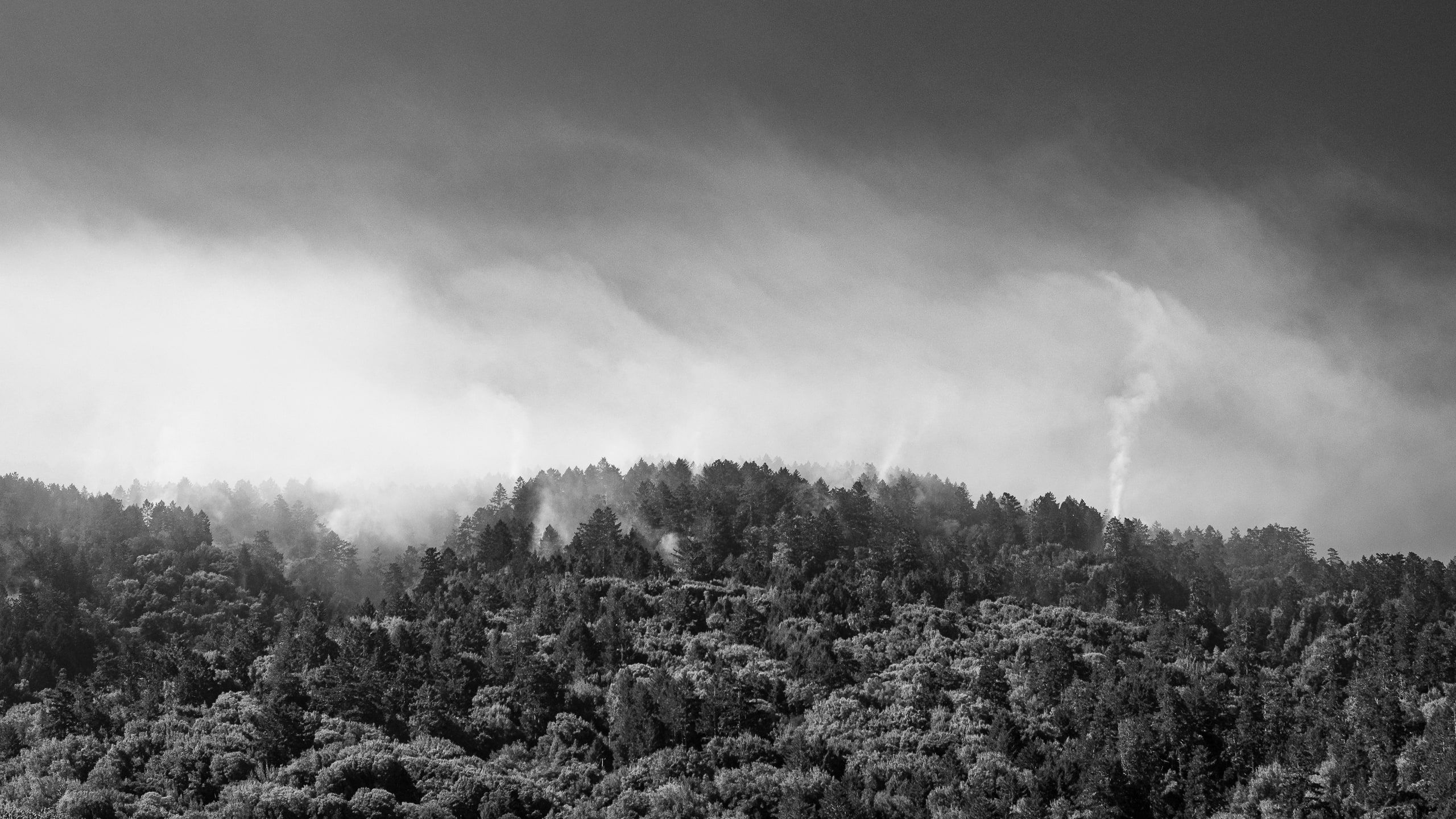 Fog Lifting