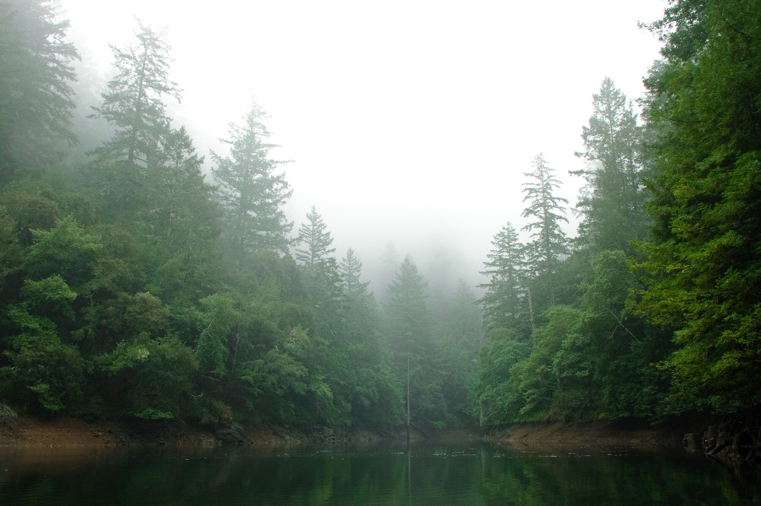 Fog on the Water