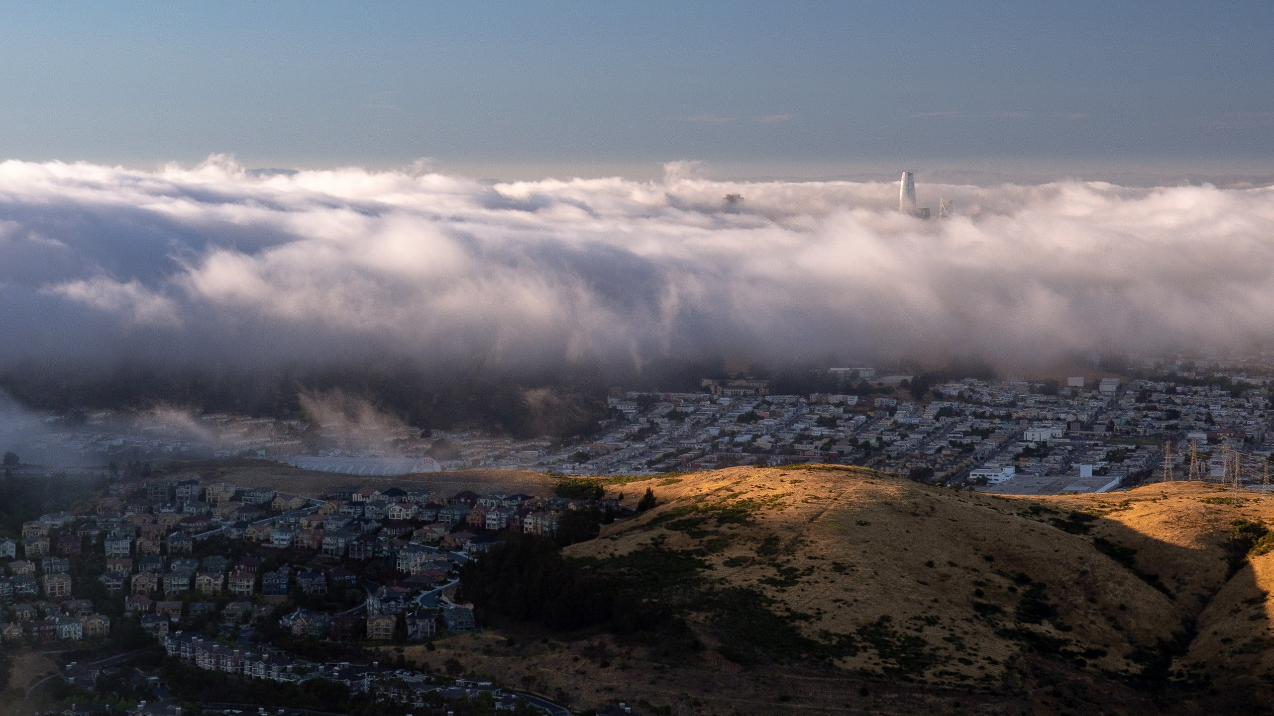 Fog over the City