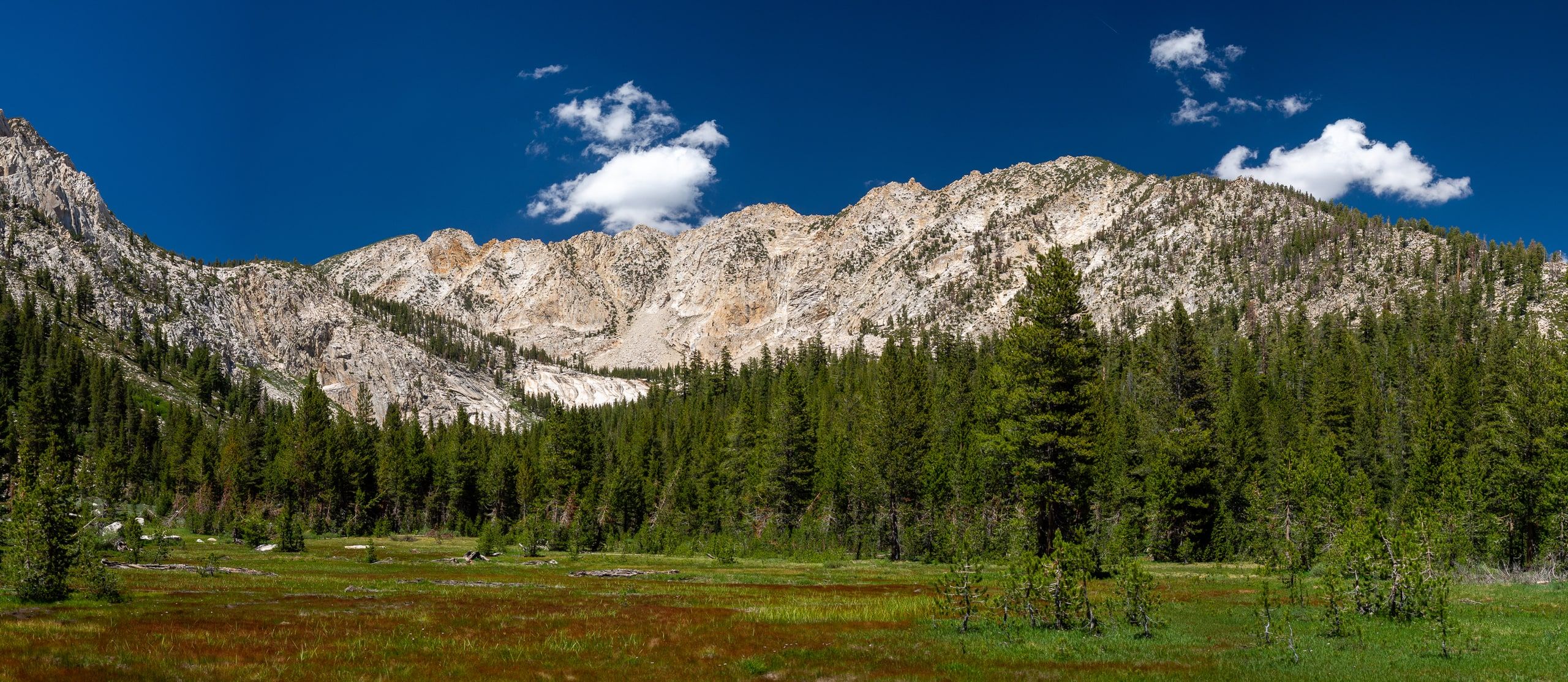 High Sierra Meadow