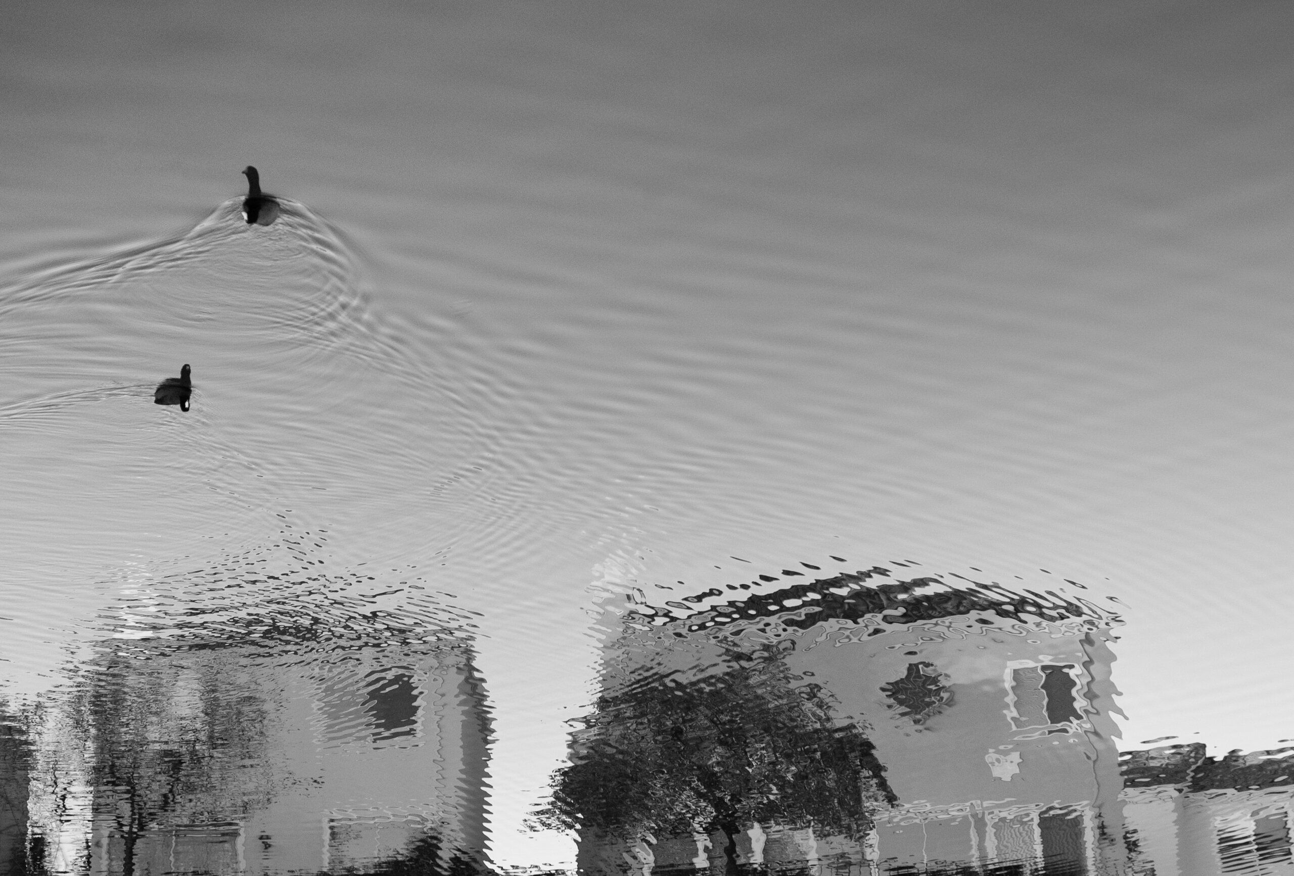 Ripples