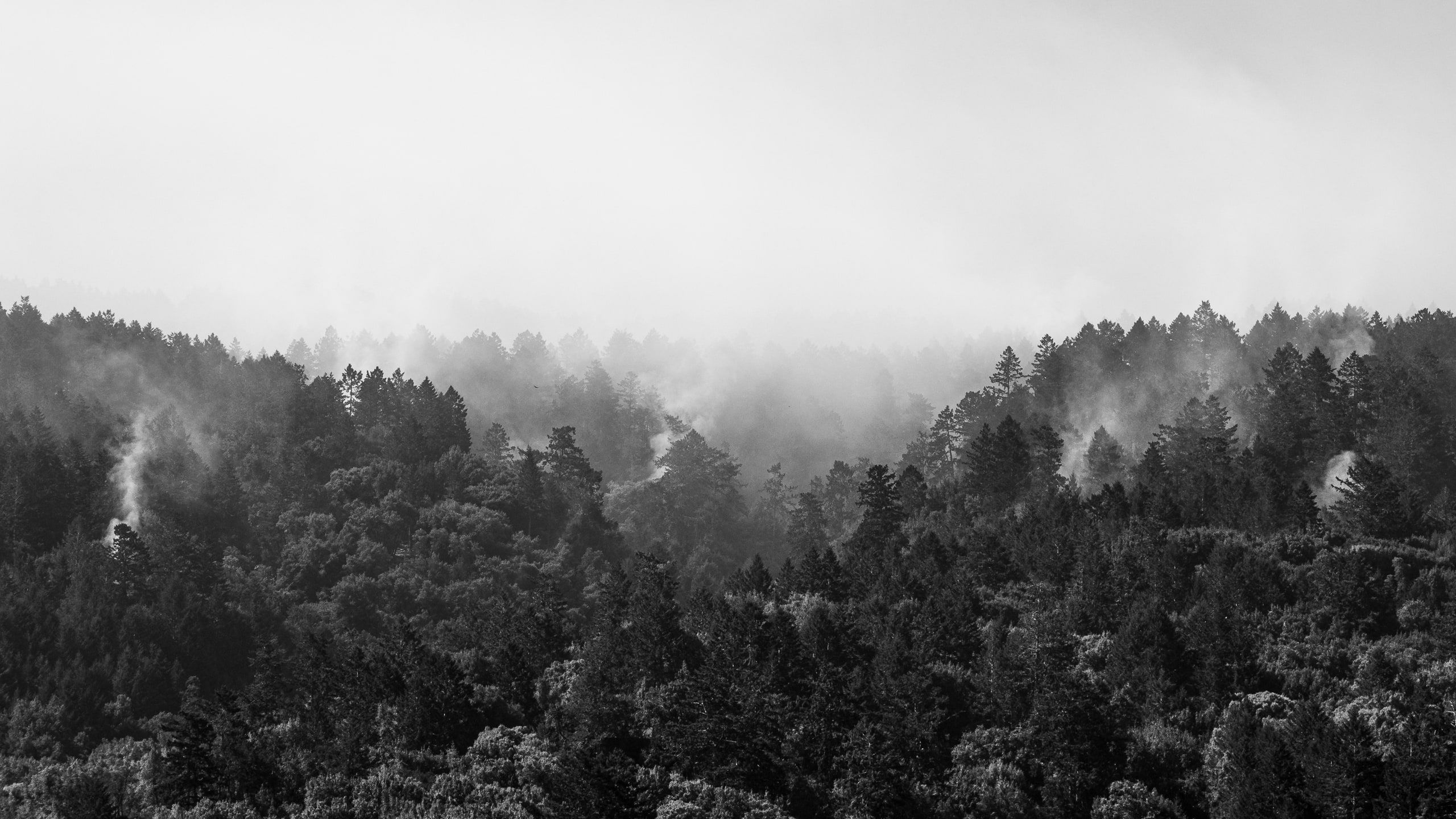 Smoke over the Ridge