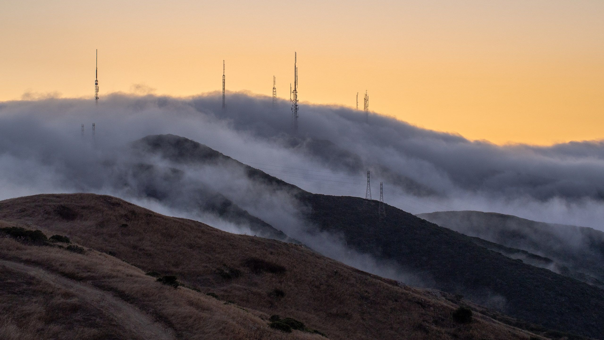Towers above the Fog