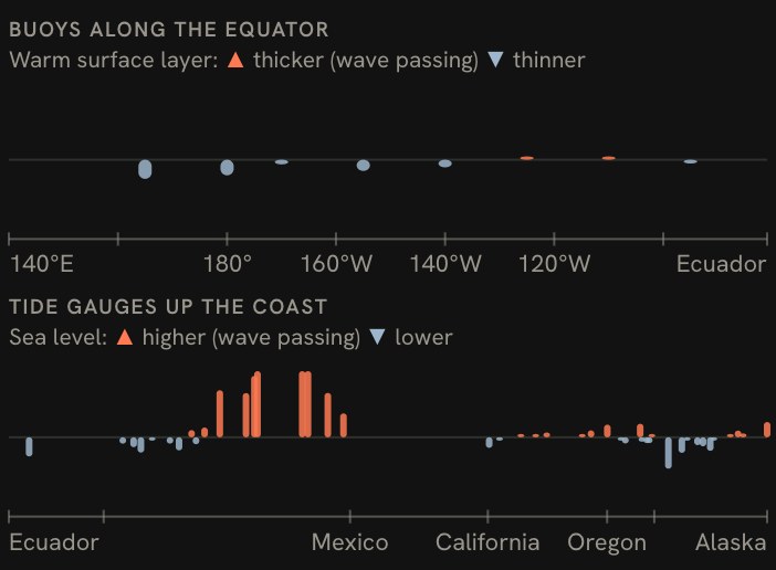 The panel's two sensor strips for the same day: buoys along the equator (how thick the warm surface layer is) and tide gauges up the coast (sea level above the predicted tide).