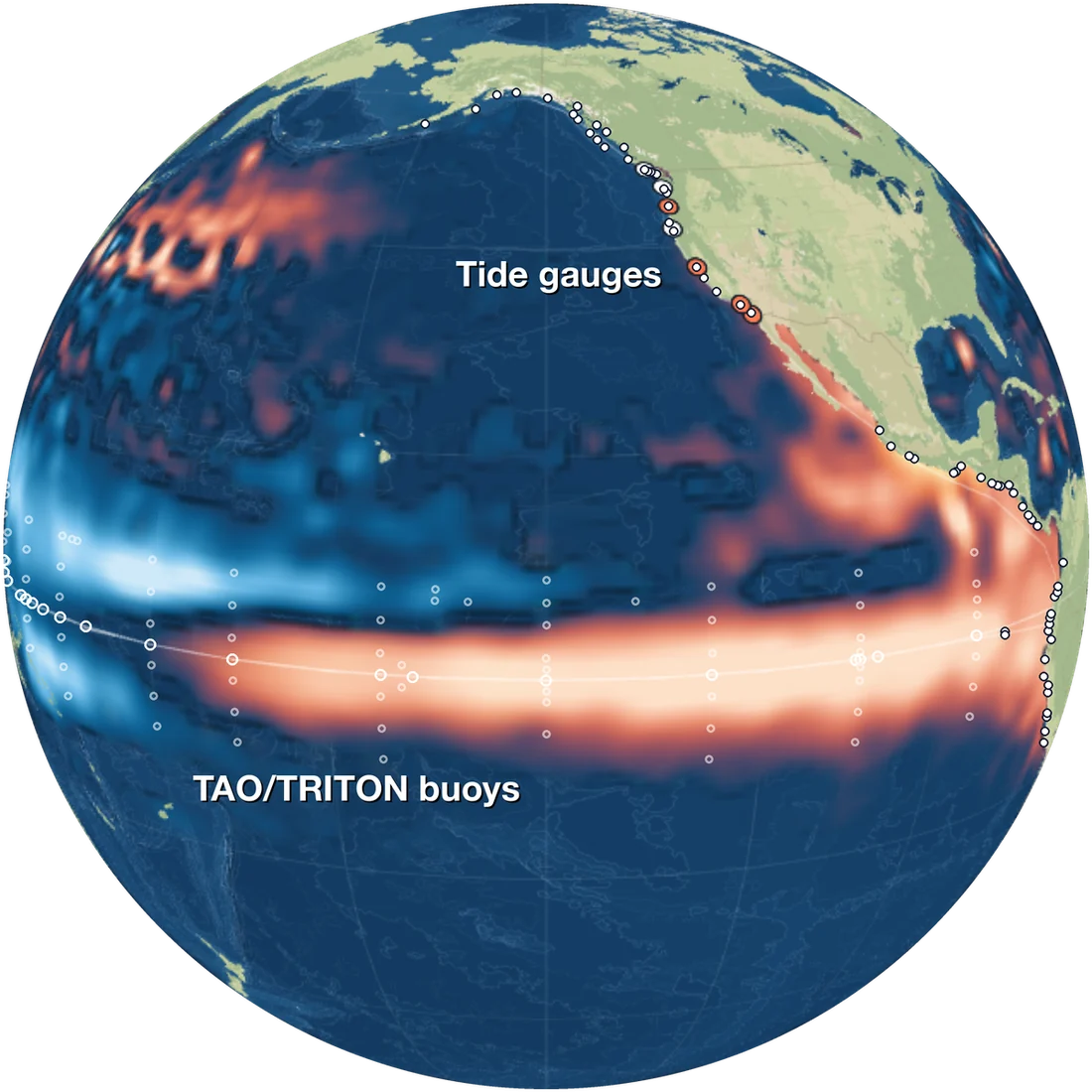 Where the sensors are: TAO/TRITON buoys as rings along the equator, and tide gauges as dots along the coast from Peru to Alaska.